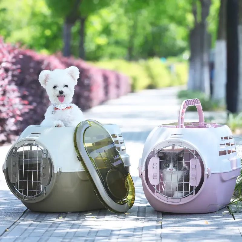 扬州宠物用品卖家的欧美物流 “带电合规 + 防压护品” 突破